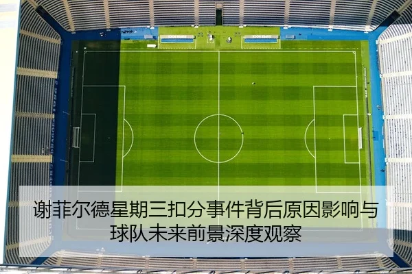 xie-fei-er-de-xing-qi-san-kou-fen-shi-jian-bei-hou-yuan-yin-ying-xiang-yu-qiu-dui-wei-lai-qian-jing-shen-du-guan-cha-2-973.jpg